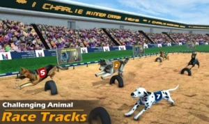 Bí Quyết Cách Chơi Game Nhanh Đua Chó Tại CWin Thắng Lớn 5 Đua Chó Tại CWin