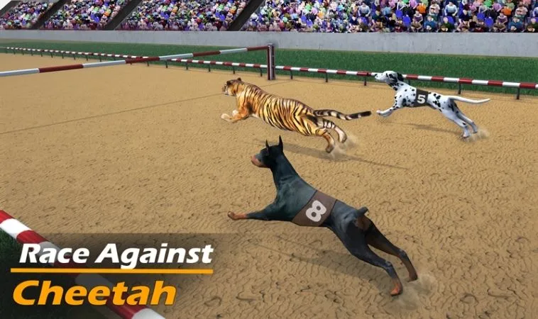 Bí Quyết Cách Chơi Game Nhanh Đua Chó Tại CWin Thắng Lớn 2 Cách chơi game nhanh Đua Chó Tại CWin