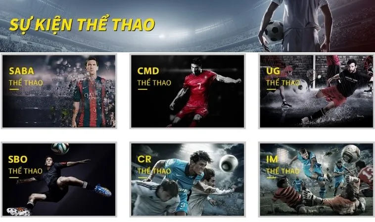 Thể Thao CWin 1 Sảnh Thể thao CWin hợp tác với nhiều nhà cung cấp uy tín, chất lượng