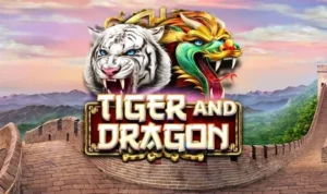 Bí Quyết Thắng Dragon Tiger Tại CWin Siêu Dễ Hấp Dẫn Liền Tay 2 Dragon Tiger tại CWin